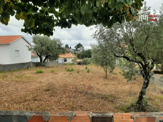 Terreno Agricola ou Rústico para Venda em Fatima Foto 3