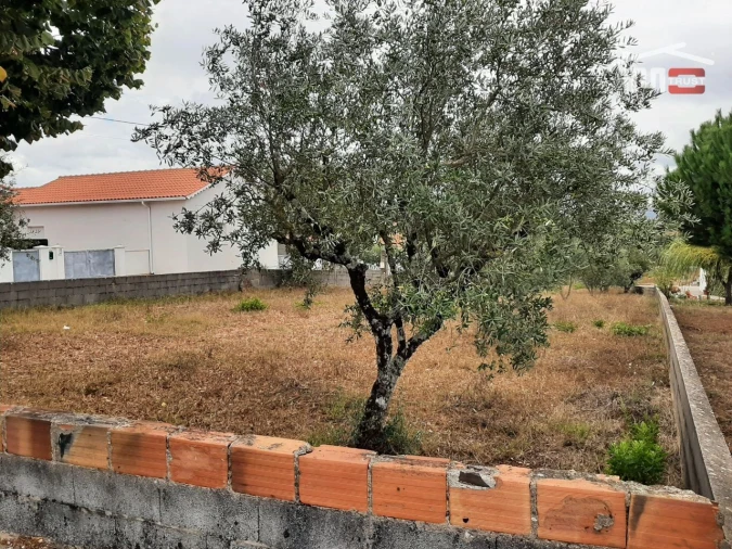 Terreno Agricola ou Rústico para Venda em Fatima Foto 8
