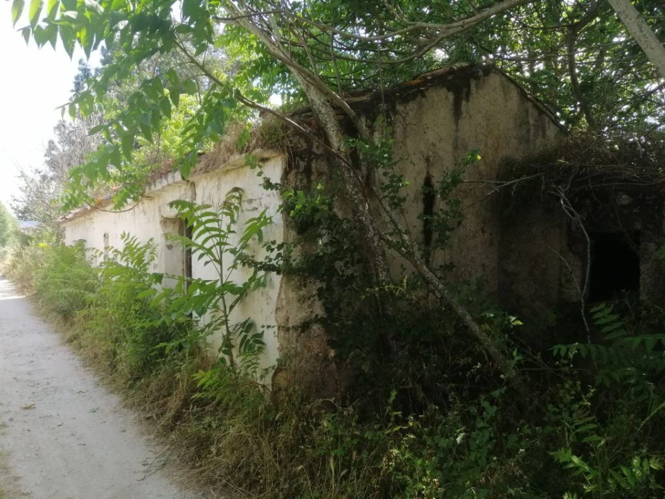 Quinta T0 para Venda em Beirã Foto 1