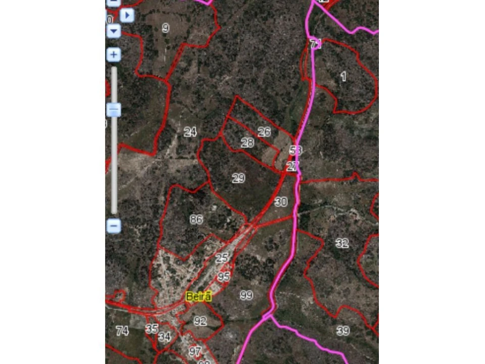 Quinta T0 para Venda em Beirã Foto 2