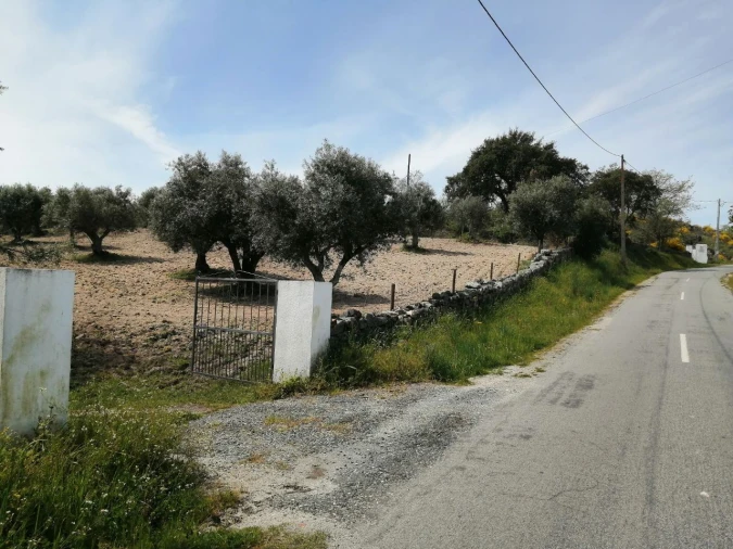 Quinta T2 para Venda em Santa Maria da Devesa