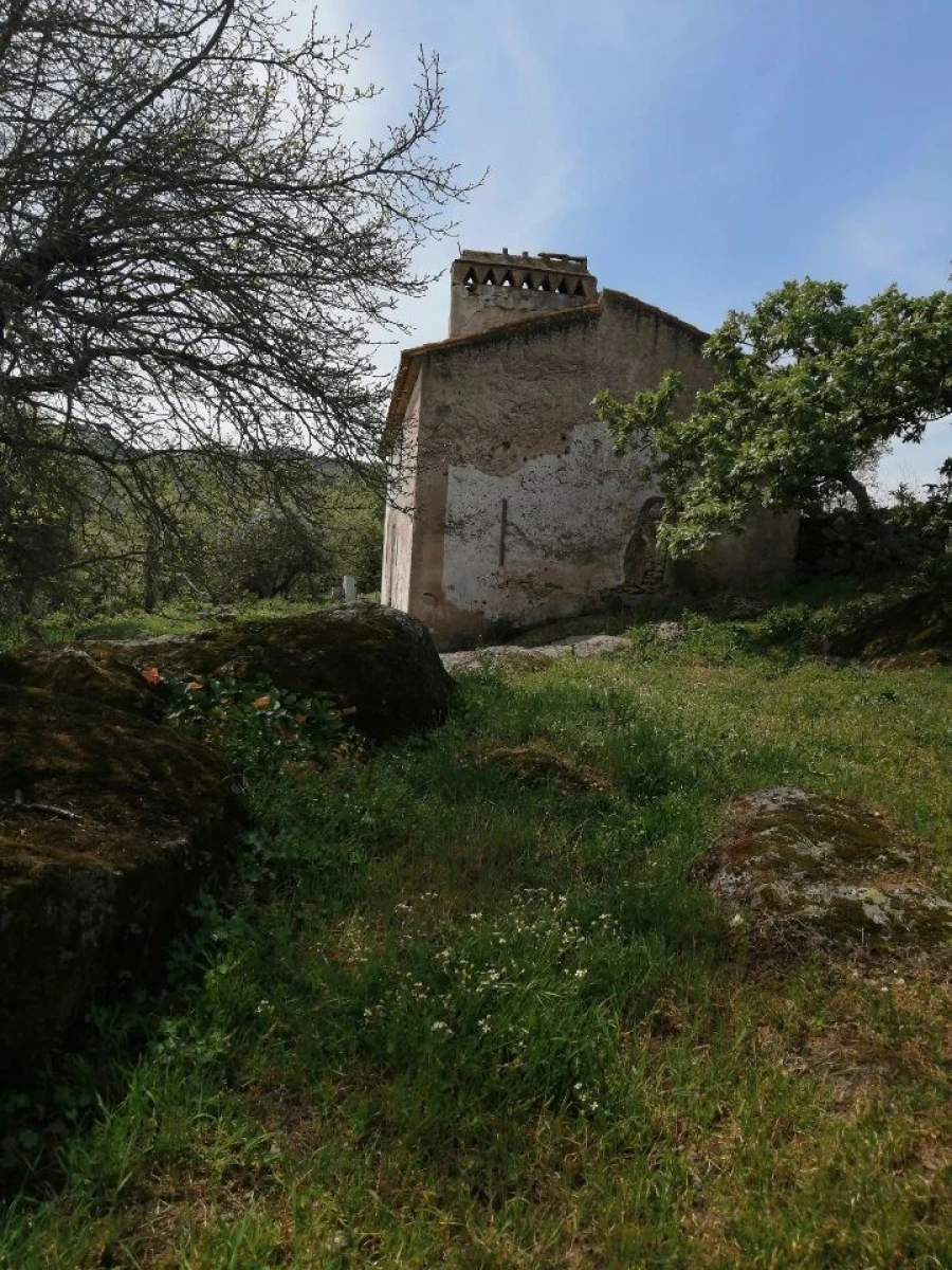 Quinta T2 para Venda em Santa Maria da Devesa Foto 7