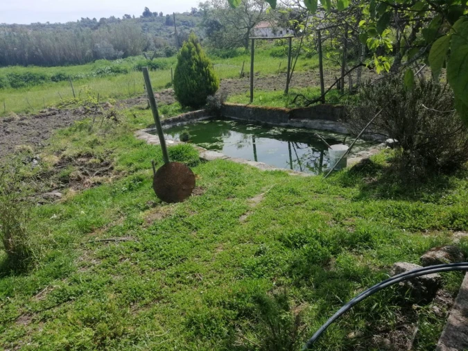 Quinta T2 para Venda em Santa Maria da Devesa Foto 12