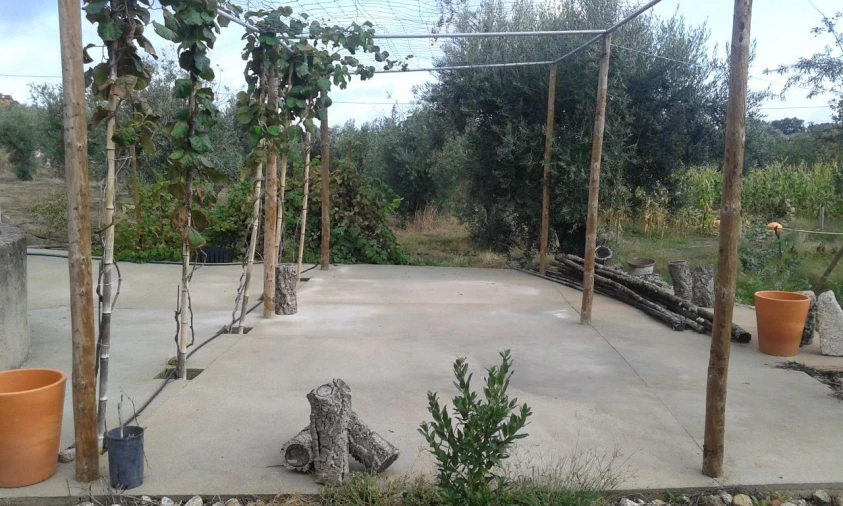 Quinta T2 para Venda em Santa Maria da Devesa Foto 9