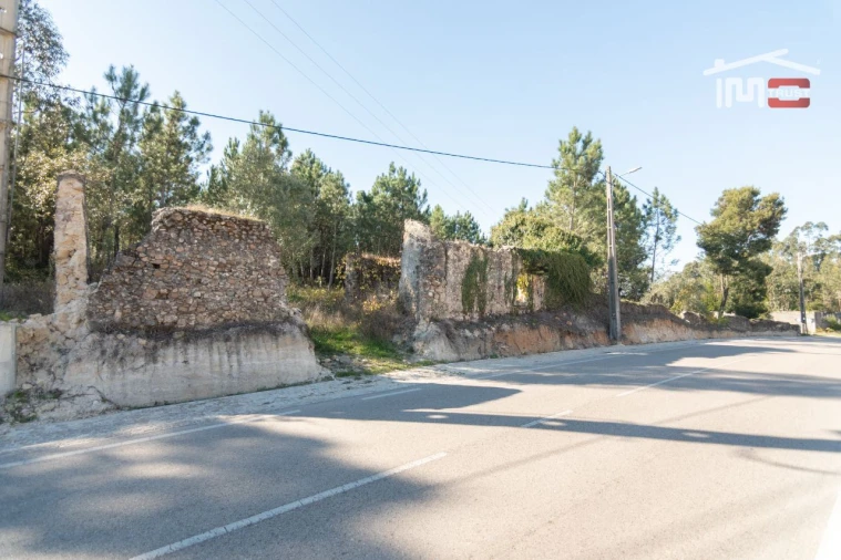 Terreno Agricola ou Rústico para Venda em Caranguejeira Foto 1
