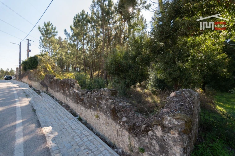 Terreno Agricola ou Rústico para Venda em Caranguejeira Foto 4