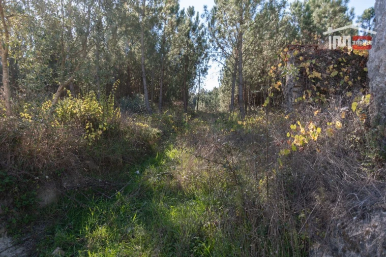 Terreno Agricola ou Rústico para Venda em Caranguejeira Foto 6