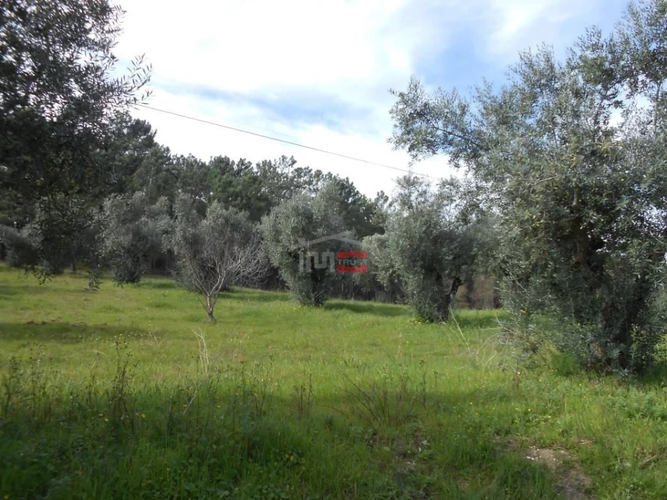 Terreno Misto para Venda em Alburitel Foto 3