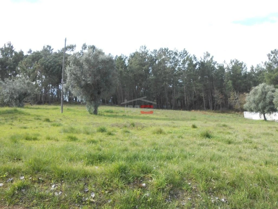 Terreno Misto para Venda em Alburitel Foto 5