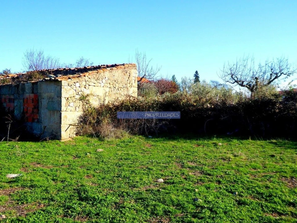 Terreno para Venda em Figueira de Castelo Rodrigo Foto 2