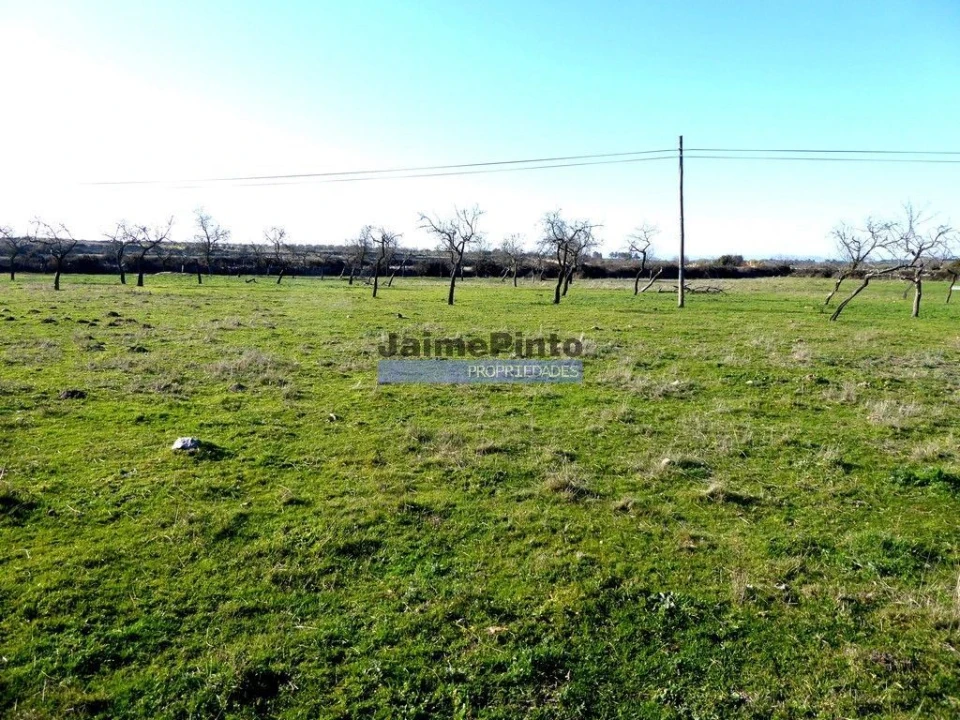 Terreno para Venda em Figueira de Castelo Rodrigo Foto 4
