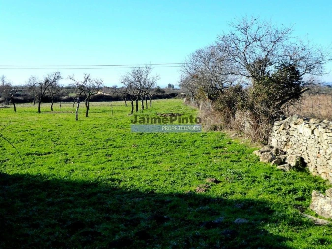 Terreno para Venda em Figueira de Castelo Rodrigo Foto 3