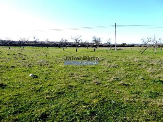 Terreno para Venda em Figueira de Castelo Rodrigo Foto 4