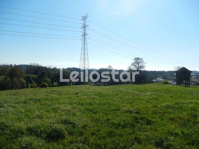 Terreno Misto para Venda em Arcozelo Foto 16
