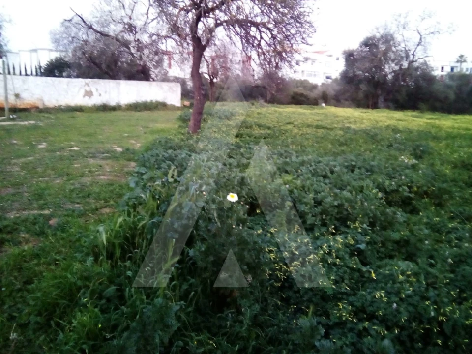 Terreno para Venda em Almancil Foto 1
