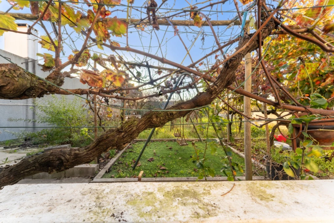 Quinta T4 para Venda em Coz, Alpedriz e Montes Foto 41