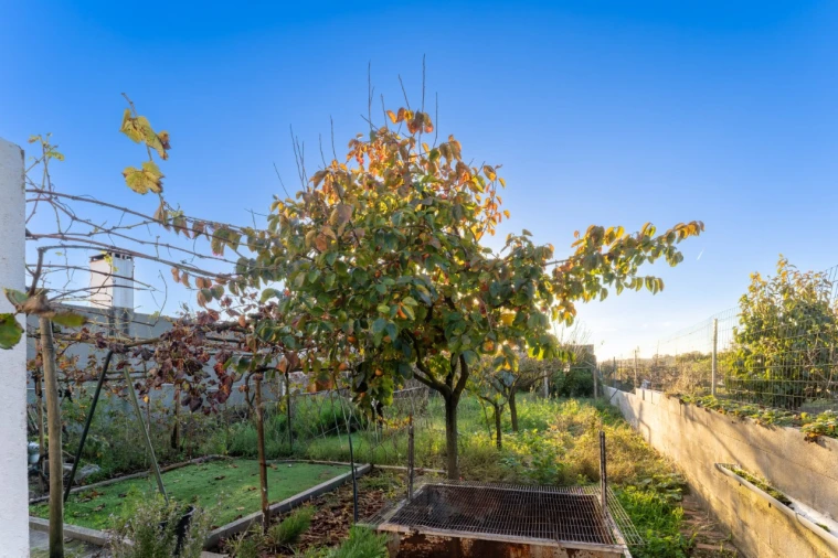 Quinta T4 para Venda em Coz, Alpedriz e Montes Foto 42