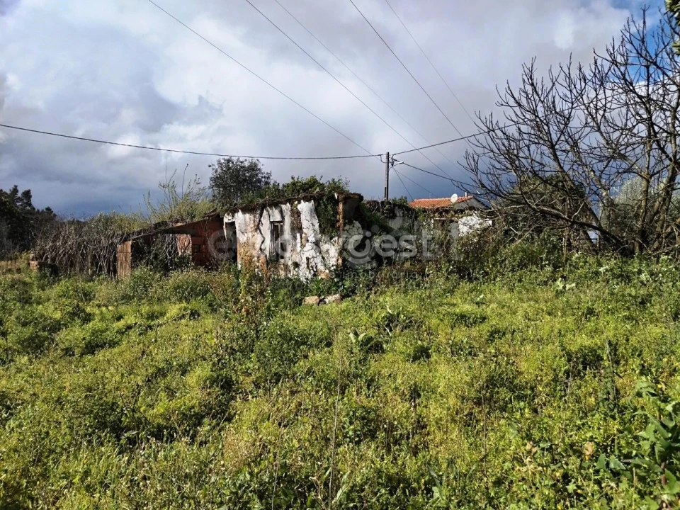 Moradia T1 para Venda em Ferreira do Zezere Foto 1