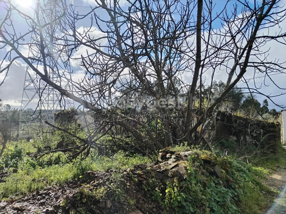 Moradia T1 para Venda em Ferreira do Zezere Foto 6