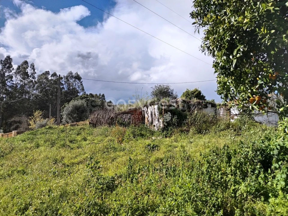 Moradia T1 para Venda em Ferreira do Zezere Foto 8