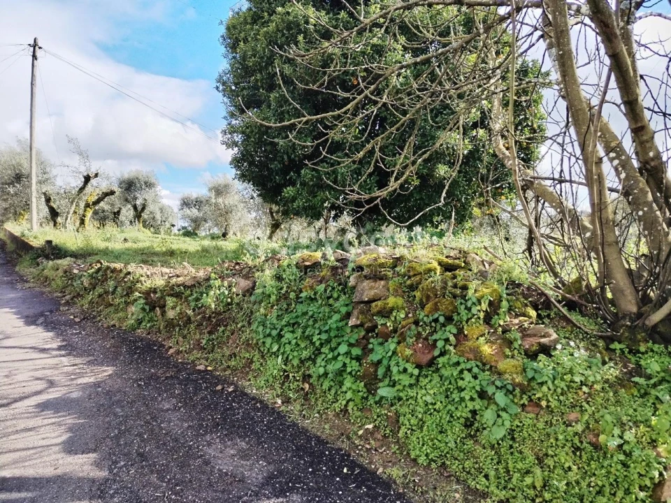 Moradia T1 para Venda em Ferreira do Zezere Foto 13