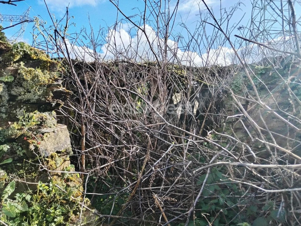 Moradia T1 para Venda em Ferreira do Zezere Foto 15