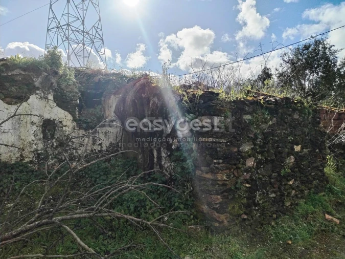 Moradia T1 para Venda em Ferreira do Zezere Foto 4