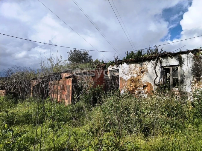 Moradia T1 para Venda em Ferreira do Zezere Foto 9