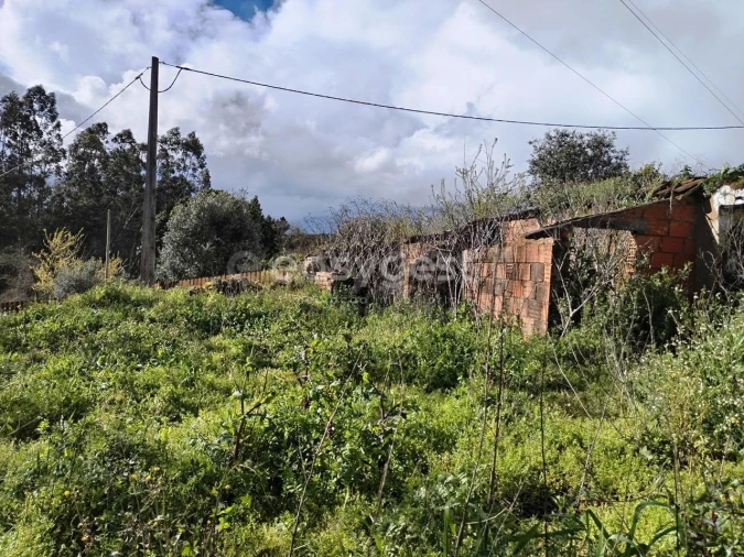 Moradia T1 para Venda em Ferreira do Zezere Foto 11