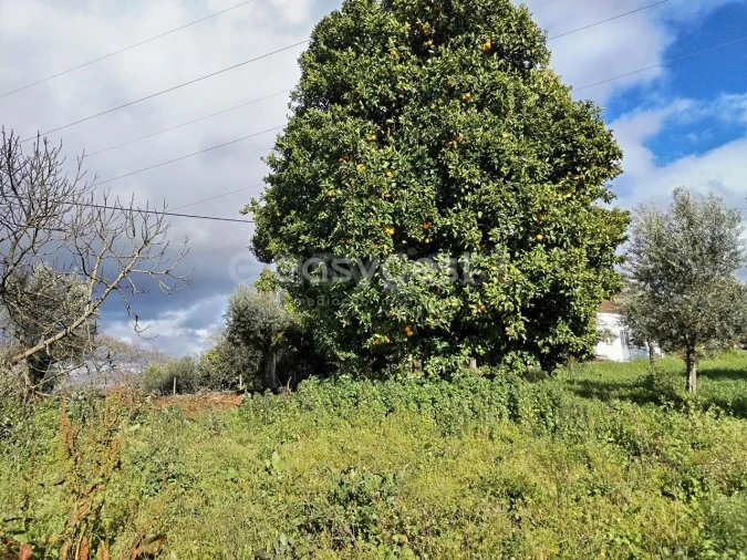 Moradia T1 para Venda em Ferreira do Zezere Foto 12