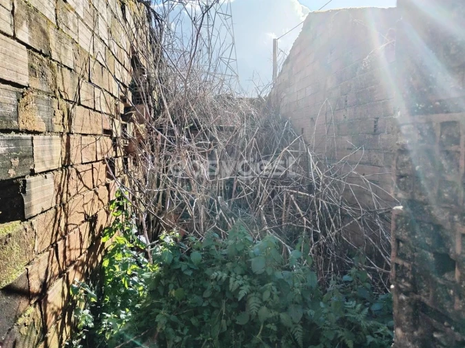 Moradia T1 para Venda em Ferreira do Zezere Foto 16