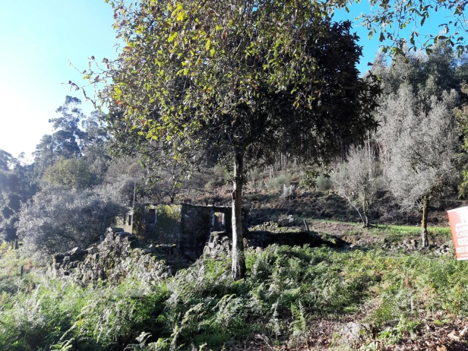 Terreno para Venda em Navió e Vitorino dos Piães Foto 9