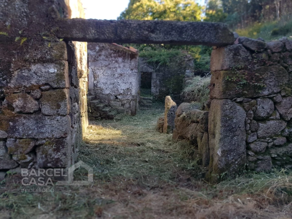 Terreno para Venda em Navió e Vitorino dos Piães Foto 3