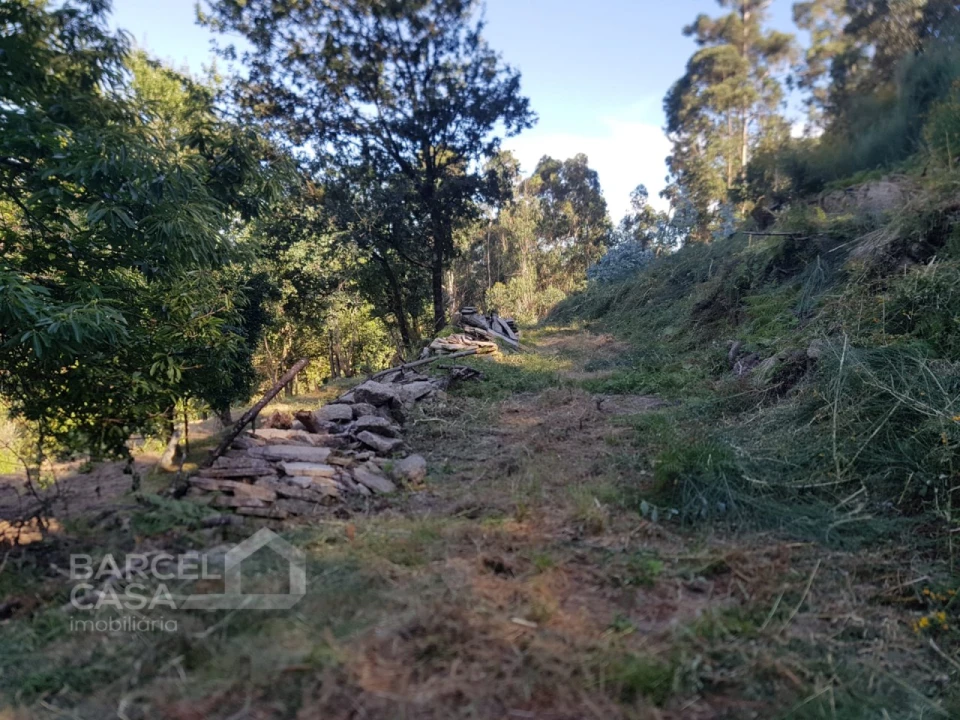 Terreno para Venda em Navió e Vitorino dos Piães Foto 7