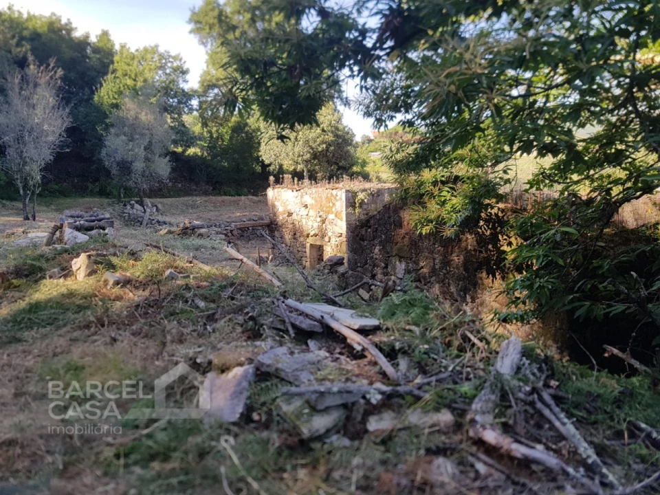 Terreno para Venda em Navió e Vitorino dos Piães Foto 2