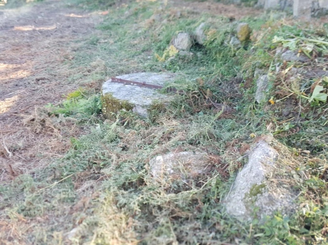 Terreno para Venda em Navió e Vitorino dos Piães Foto 5
