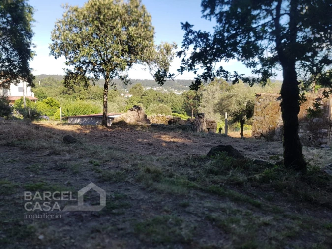 Terreno para Venda em Navió e Vitorino dos Piães Foto 8