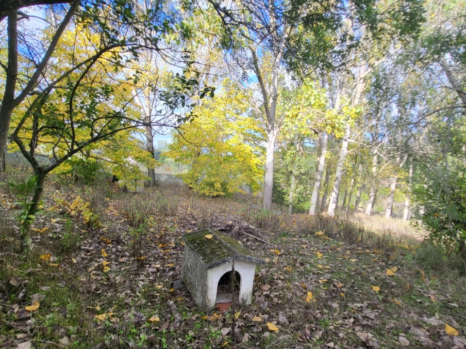 Moradia T2 para Venda em São Pedro de Tomar Foto 21