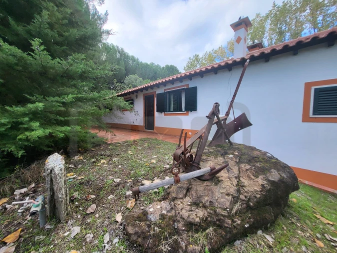 Moradia T2 para Venda em São Pedro de Tomar Foto 2