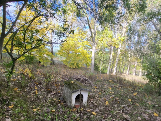 Moradia T2 para Venda em São Pedro de Tomar Foto 21