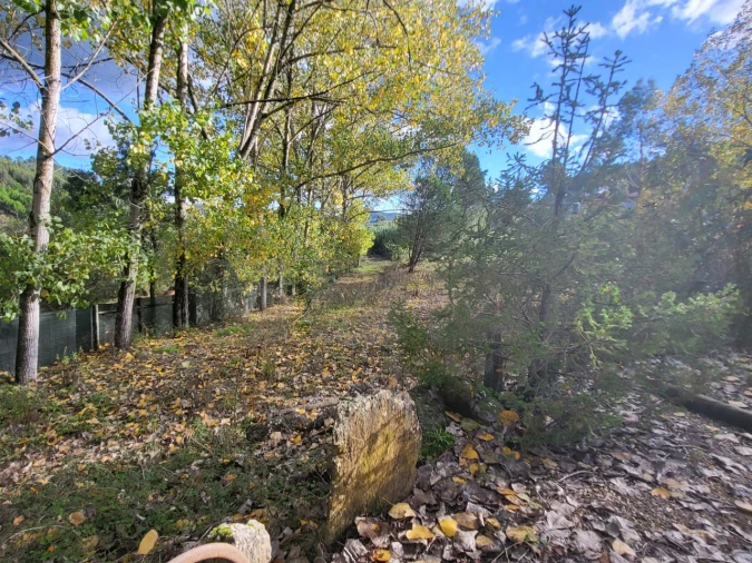 Moradia T2 para Venda em São Pedro de Tomar Foto 22