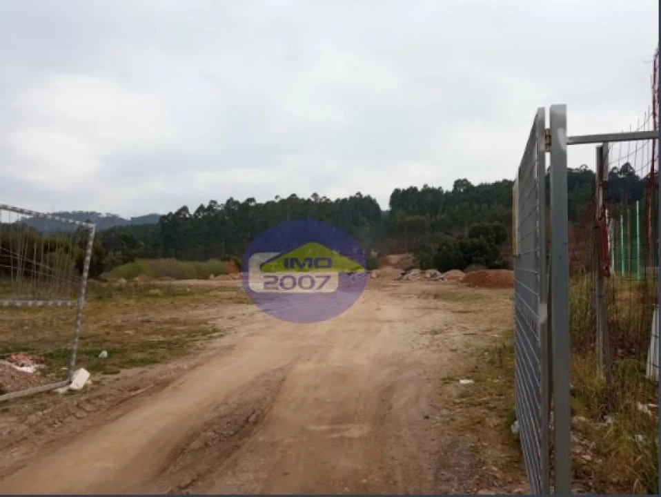 Terreno Agricola ou Rústico para Venda em Nogueira do Cravo e Pindelo Foto 1