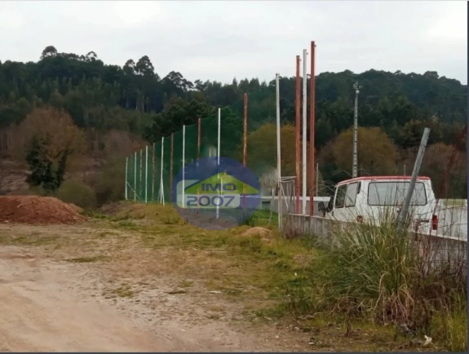Terreno Agricola ou Rústico para Venda em Nogueira do Cravo e Pindelo Foto 3