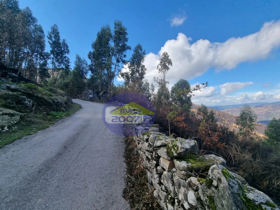 Moradia para Venda em Covelo de Paivó e Janarde Foto 2