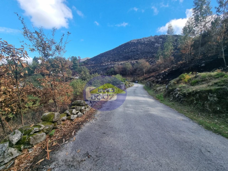 Moradia para Venda em Covelo de Paivó e Janarde Foto 4