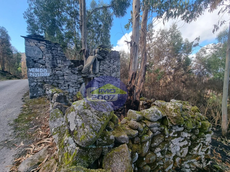 Moradia para Venda em Covelo de Paivó e Janarde Foto 6