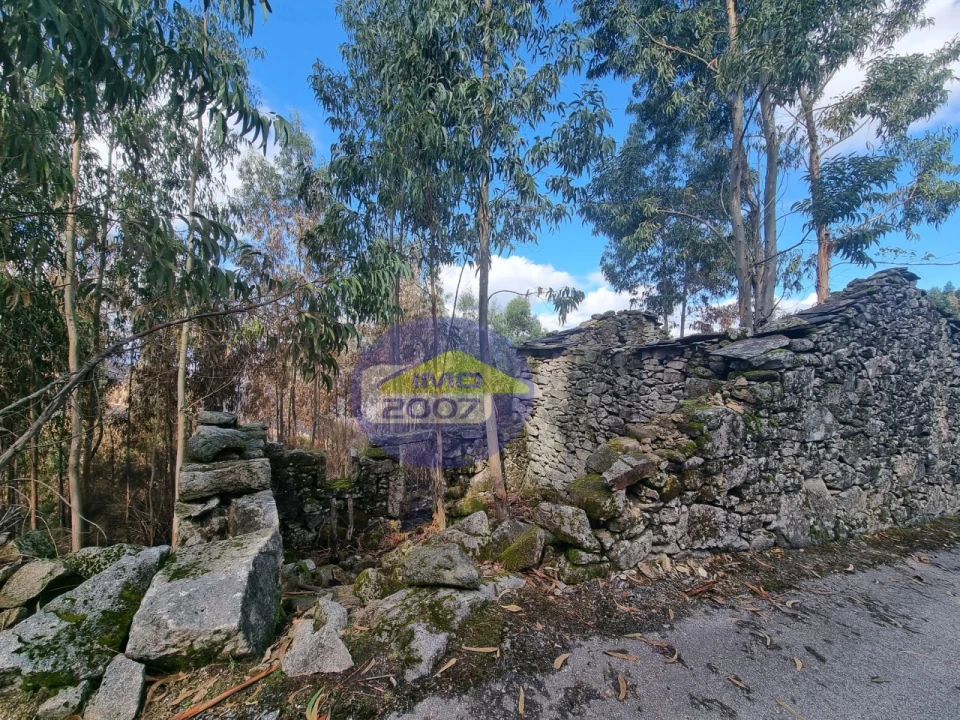 Moradia para Venda em Covelo de Paivó e Janarde Foto 9