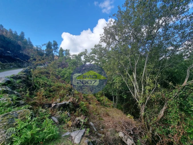 Moradia para Venda em Covelo de Paivó e Janarde