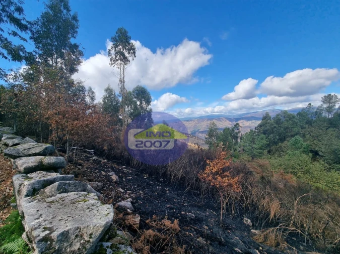 Moradia para Venda em Covelo de Paivó e Janarde Foto 3