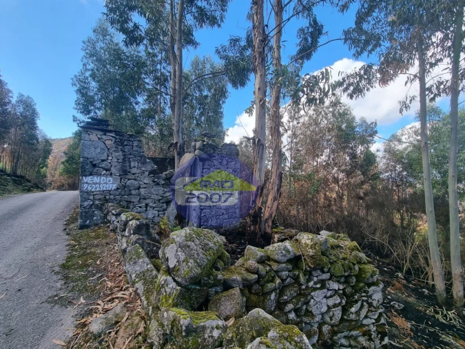 Moradia para Venda em Covelo de Paivó e Janarde Foto 5